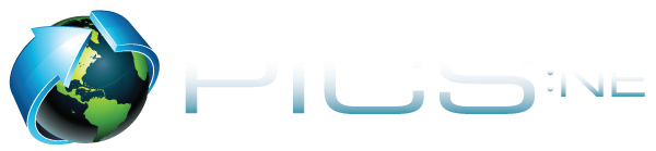 Program Information Collection System: Nuclear Energy (PICS:NE)